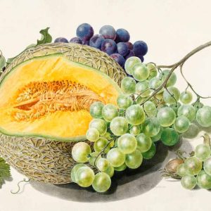 3AA5668 - Michiel van Huysum - Fruits II