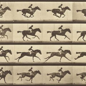 3AP7449 - Eadweard Muybridge - Animal Locomotion: Running Horse