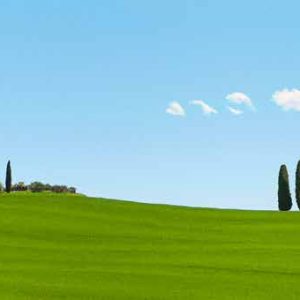 4AP6164 - Pangea Images - Strada del Brunello, Tuscany (detail)
